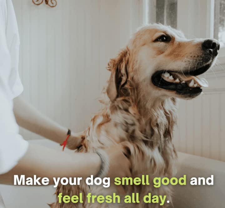 Breedo (Combo of 3) Dog 5 in 1 Shampoo +Anti-Itch Shampoo(500 ml)+ 100 ml Perfect Dog Body Deodorizer Spray Natural Itch Relief Dog Shampoo for Labrador, German Shepherd, Golden Retriever