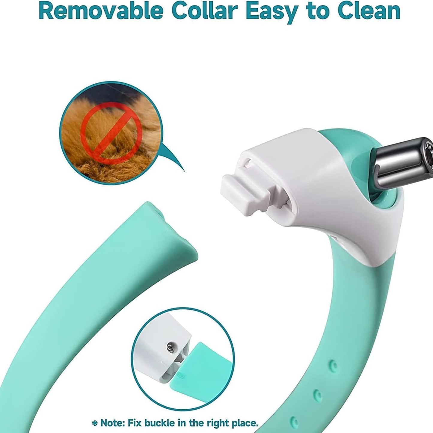 Petsberg® Laser Collar Self Teasing Toy