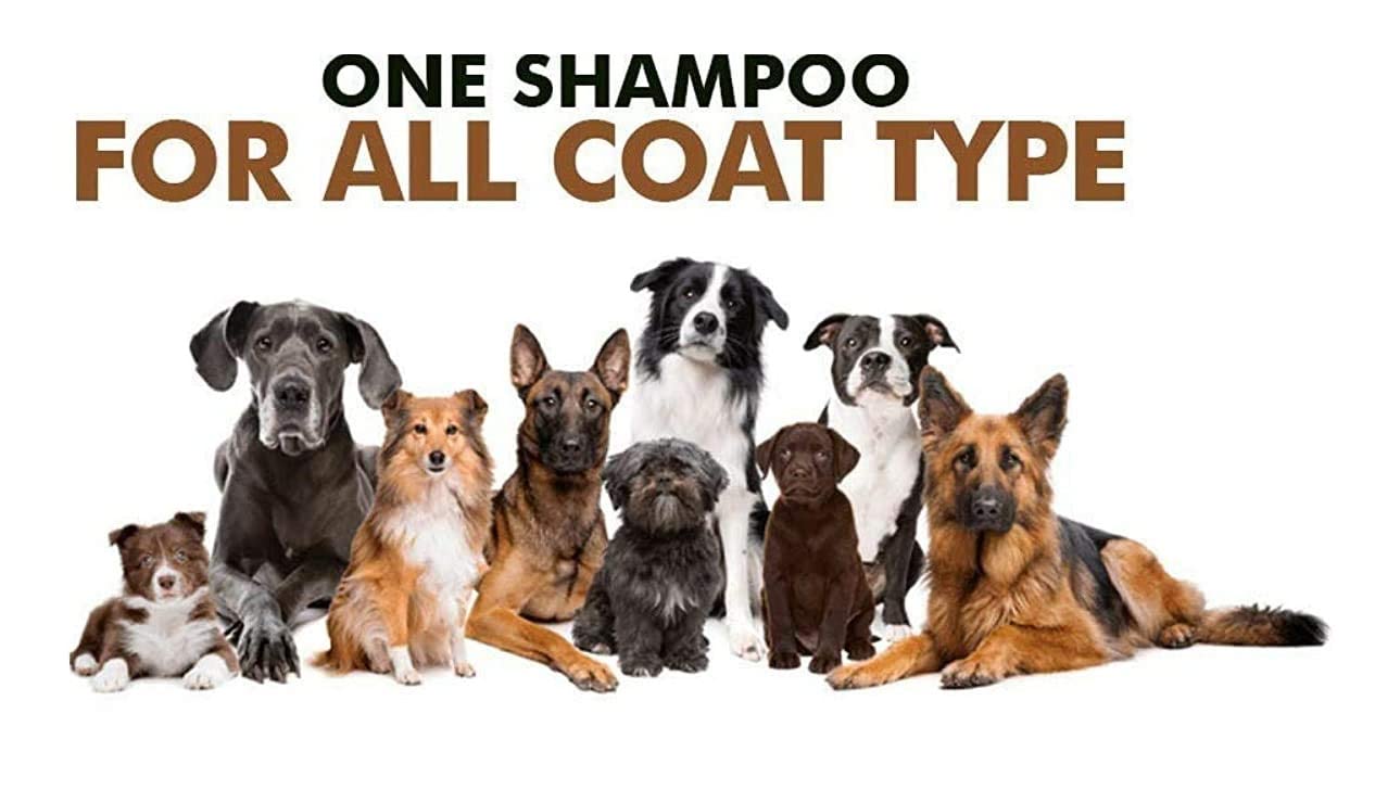 Breedo (Combo of 3) Dog 5 in 1 Shampoo +Anti-Itch Shampoo(500 ml)+ 100 ml Perfect Dog Body Deodorizer Spray Natural Itch Relief Dog Shampoo for Labrador, German Shepherd, Golden Retriever