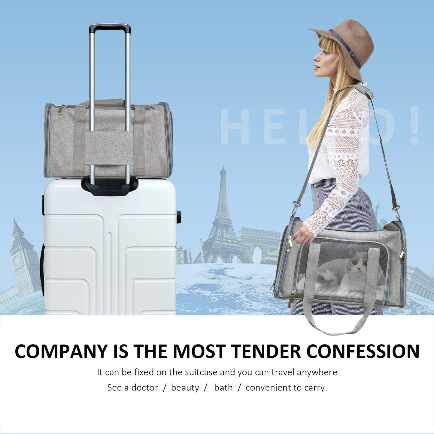 Cat Carriers Small Dog Puppy Carrier Pet Carrier Bag for Small Cats Dogs Puppies up to 4Kg, Airline Approved Small Dog Carrier Soft Sided, Collapsible Travel Puppy Carrier