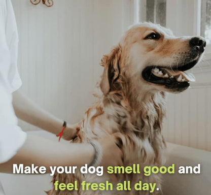 Breedo (Combo of 3) Dog 5 in 1 Shampoo +Anti-Itch Shampoo(500 ml)+ 100 ml Perfect Dog Body Deodorizer Spray Natural Itch Relief Dog Shampoo for Labrador, German Shepherd, Golden Retriever