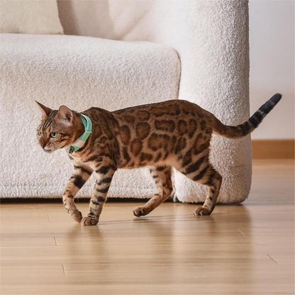 Petsberg® Laser Collar Self Teasing Toy